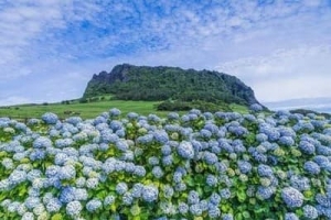 交易员押注韩国央行加息，未来六个月50基点概率70%